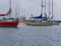 NGCC April 30 May 6 2011 023 1240