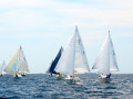 DSC 5783