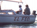 gf 86 2239