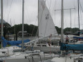 IMG 3689 3770