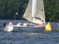 IMG 2081 3992