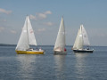 IMG 2173 4029