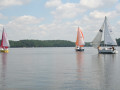 IMG 2201 4041