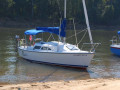 Chattahoochee Coup Too 003 977