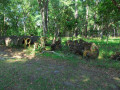 Chattahoochee Coup Too 086 1060