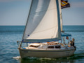 pirates life
