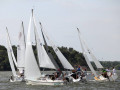 19095424 1370345476366106 4521402496545929345 o